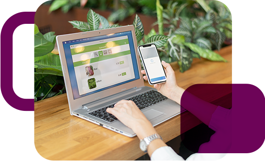 Responsive Web Design