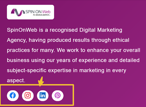 spinonweb
